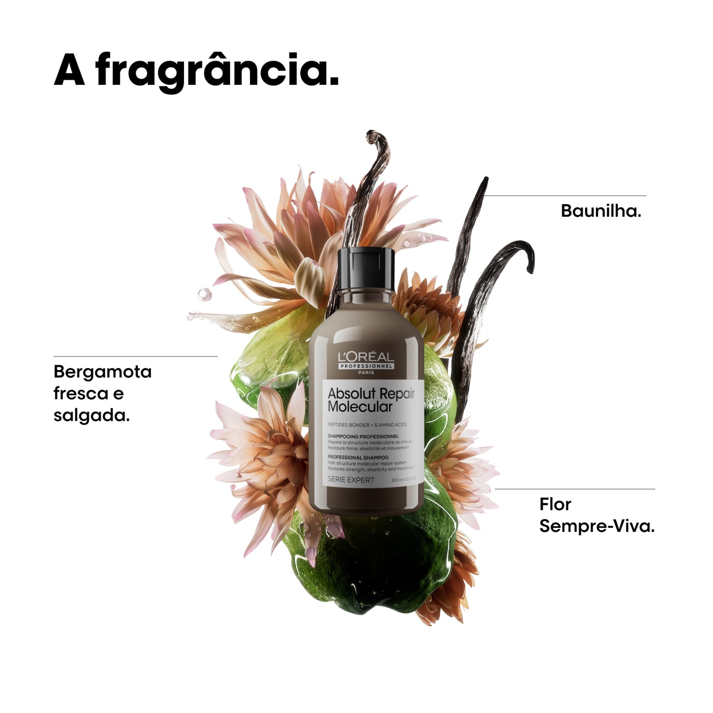 Absolut Repair Molecular: Sulfate-Free Molecular Repairing Shampoo for Damaged Hair.