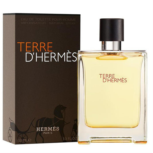 HERMES TERRE D'HERMES FOR MEN EDT NS 100 ML